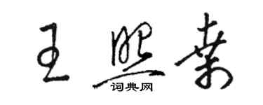 駱恆光王照桑草書個性簽名怎么寫