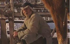 清官明斷家務事