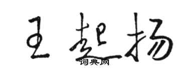 駱恆光王起揚草書個性簽名怎么寫