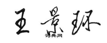 駱恆光王景環行書個性簽名怎么寫