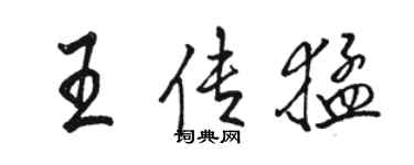 駱恆光王傳猛行書個性簽名怎么寫