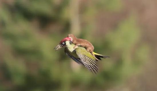 6月27日已開發國家和東南亞地區國家對話在泰國曼谷舉行_歷史上的今天