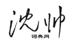 駱恆光沈帥草書個性簽名怎么寫