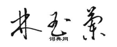 駱恆光林玉蘭草書個性簽名怎么寫