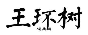 翁闓運王環樹楷書個性簽名怎么寫