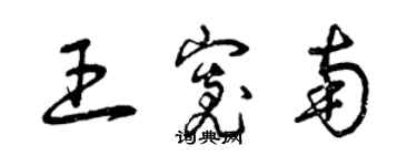 曾慶福王寬南草書個性簽名怎么寫