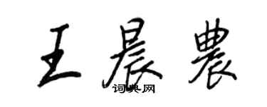 王正良王晨農行書個性簽名怎么寫