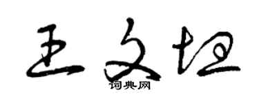 曾慶福王文坦草書個性簽名怎么寫