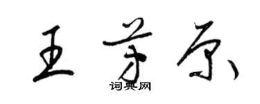 梁錦英王芳原草書個性簽名怎么寫