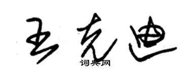 朱錫榮王克迪草書個性簽名怎么寫