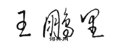 駱恆光王鵬里草書個性簽名怎么寫