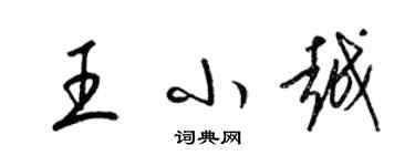 梁錦英王小越草書個性簽名怎么寫