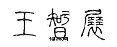 陳聲遠王智展篆書個性簽名怎么寫