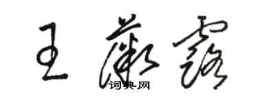 駱恆光王薇露草書個性簽名怎么寫