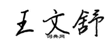 王正良王文舒行書個性簽名怎么寫