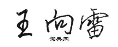 駱恆光王向雷行書個性簽名怎么寫
