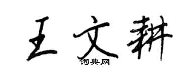 王正良王文耕行書個性簽名怎么寫