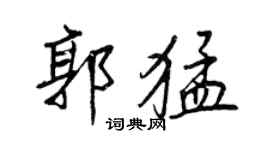 王正良郭猛行書個性簽名怎么寫