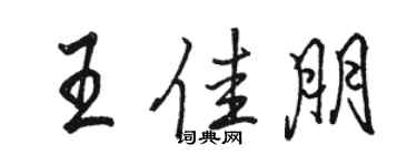 駱恆光王佳朋行書個性簽名怎么寫