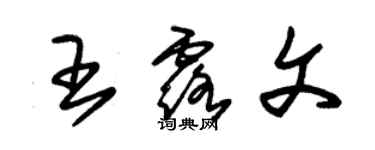 朱錫榮王露文草書個性簽名怎么寫