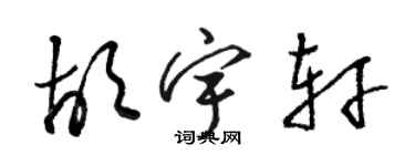 駱恆光胡宇軒草書個性簽名怎么寫