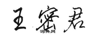 駱恆光王密君行書個性簽名怎么寫