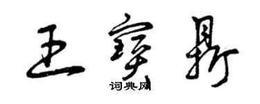 曾慶福王寶鼎草書個性簽名怎么寫