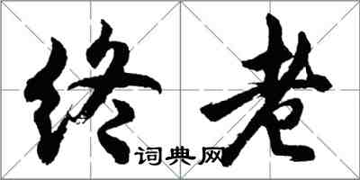 胡問遂終老行書怎么寫