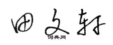 駱恆光田文軒草書個性簽名怎么寫