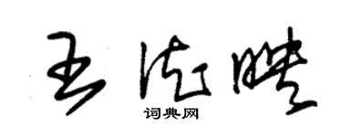 朱錫榮王德映草書個性簽名怎么寫