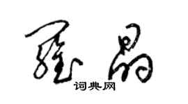 梁錦英羅晶草書個性簽名怎么寫