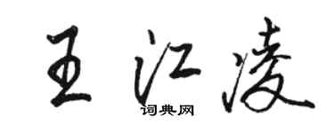 駱恆光王江凌行書個性簽名怎么寫