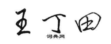 駱恆光王丁田行書個性簽名怎么寫