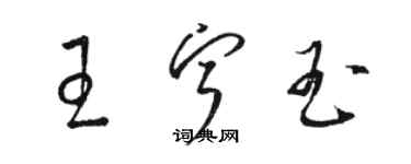 駱恆光王寧玉草書個性簽名怎么寫