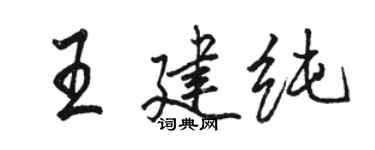 駱恆光王建純行書個性簽名怎么寫