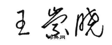 駱恆光王崇曉草書個性簽名怎么寫