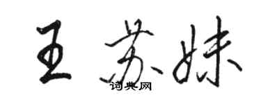 駱恆光王蘇妹行書個性簽名怎么寫