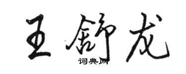 駱恆光王舒龍行書個性簽名怎么寫