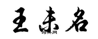 胡問遂王未名行書個性簽名怎么寫