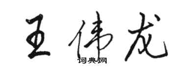 駱恆光王偉龍行書個性簽名怎么寫