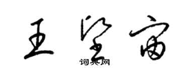 梁錦英王堅宙草書個性簽名怎么寫