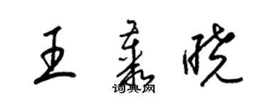 梁錦英王叢曉草書個性簽名怎么寫