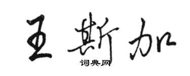 駱恆光王斯加行書個性簽名怎么寫