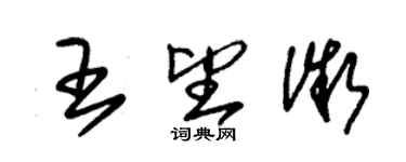 朱錫榮王望微草書個性簽名怎么寫