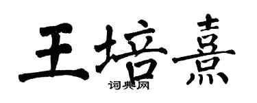 翁闓運王培熹楷書個性簽名怎么寫