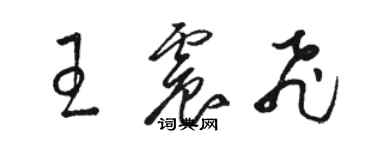 駱恆光王震飛草書個性簽名怎么寫