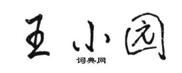 駱恆光王小園行書個性簽名怎么寫