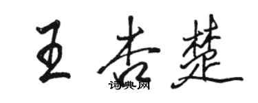 駱恆光王杏楚行書個性簽名怎么寫