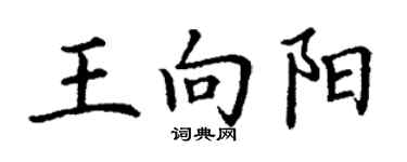 丁謙王向陽楷書個性簽名怎么寫