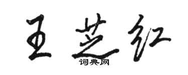 駱恆光王芝紅行書個性簽名怎么寫